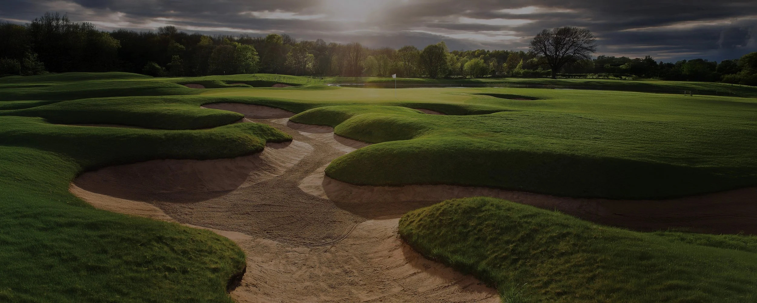Offering turf managers the most advanced foliar and soil solutions. Our Products