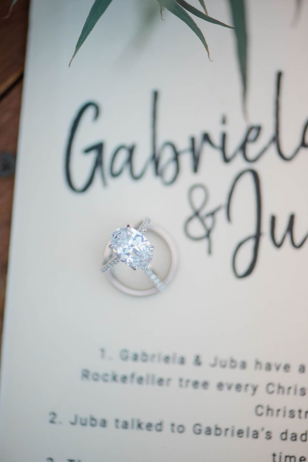 Gabriela and Juba's Charming Nuptials at Lakefield Weddings