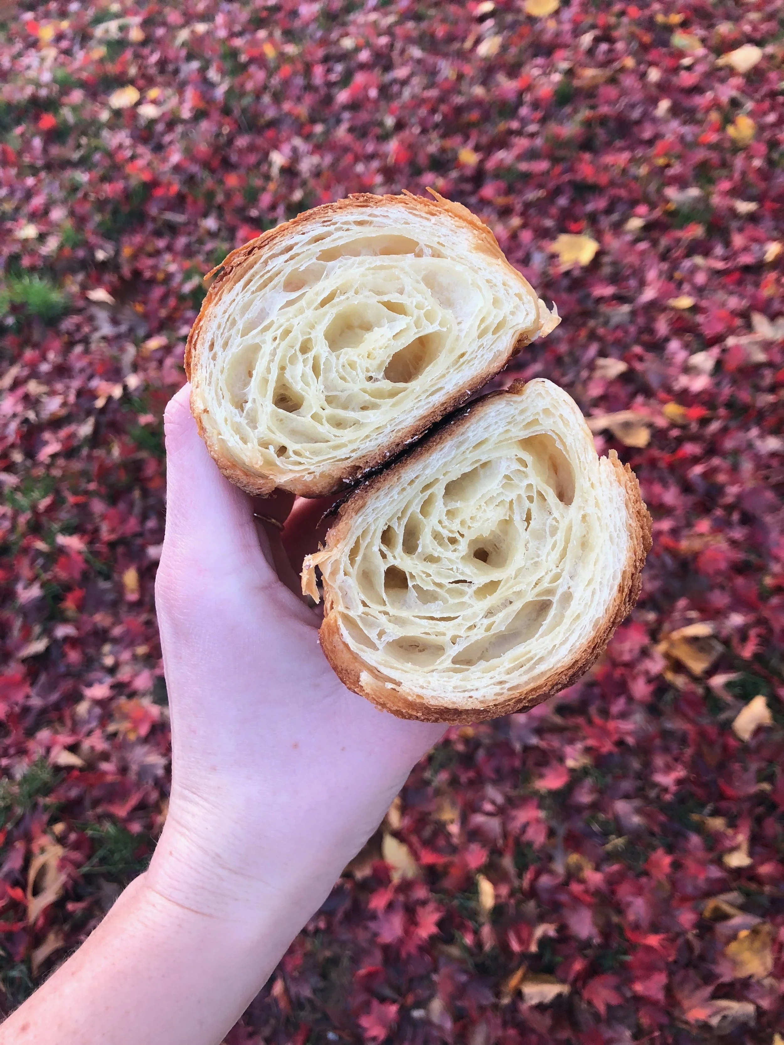 croissant cut in half 2.JPG
