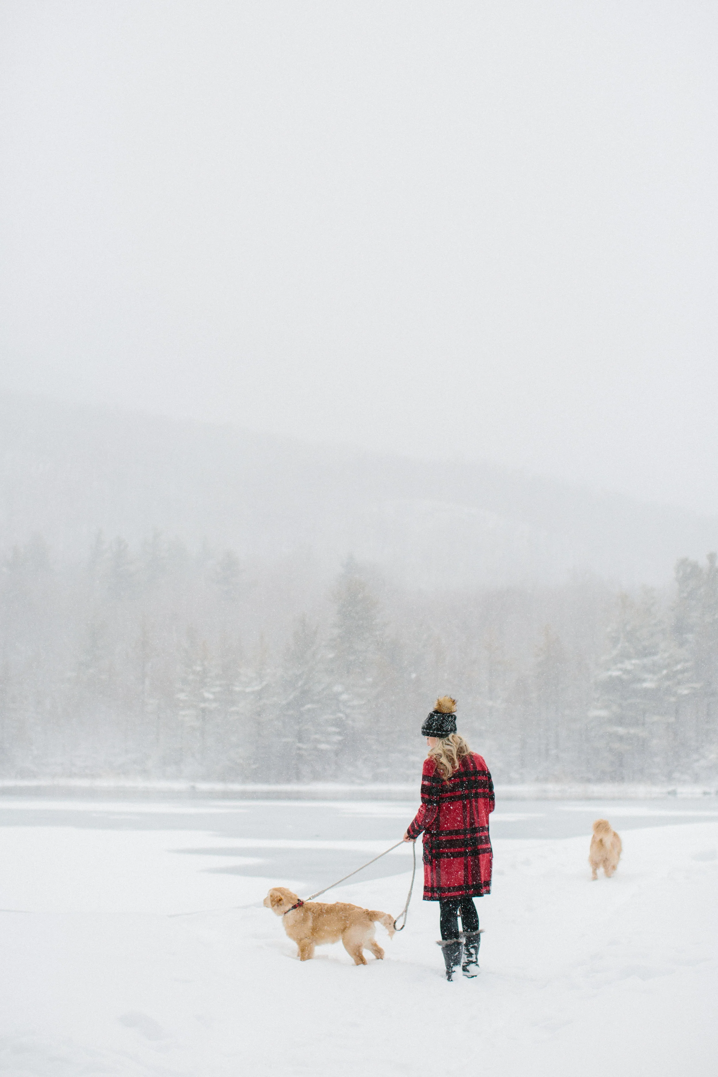 vermont001.jpg