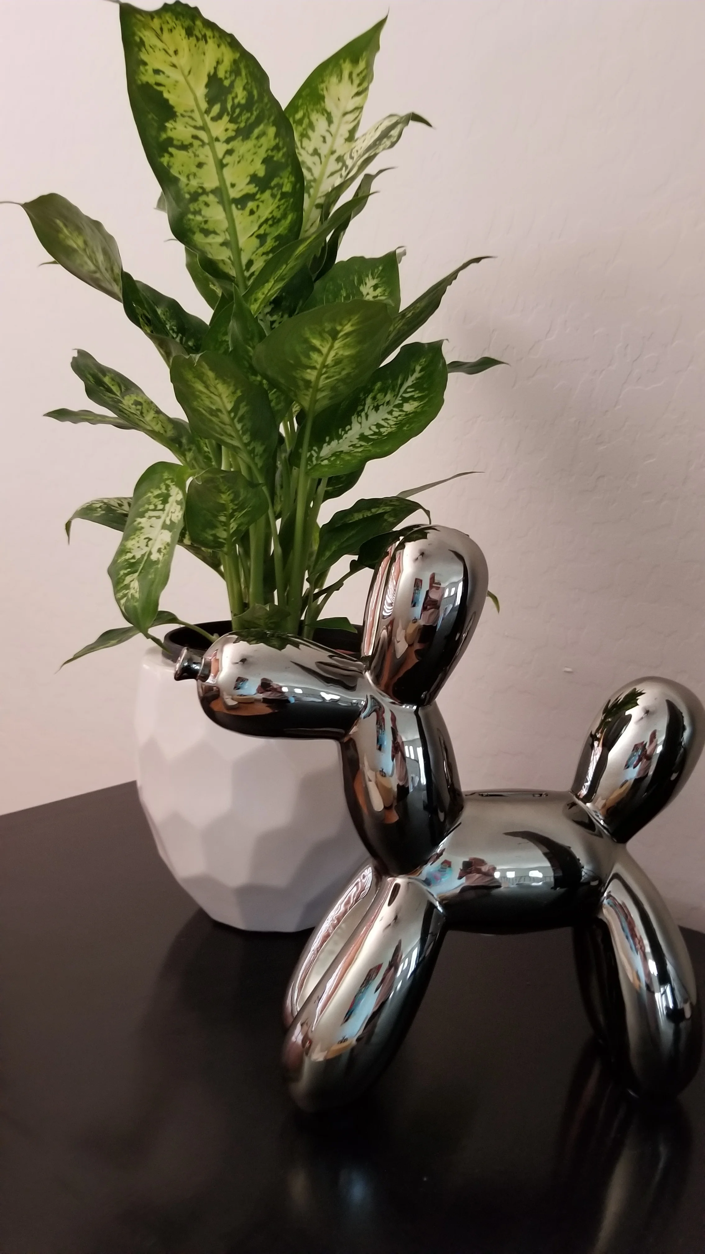 20170817_121510.jpg