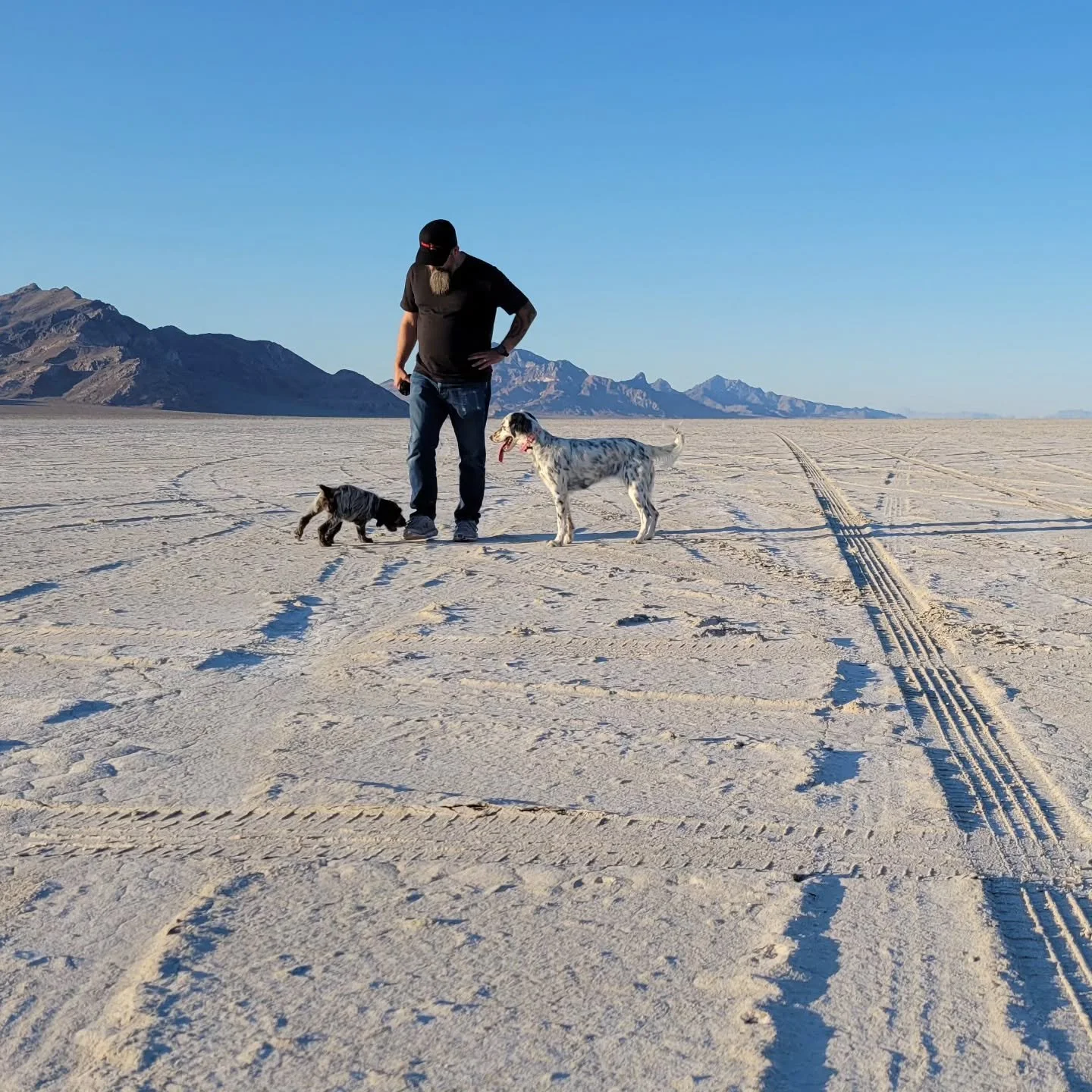 We welcome little Gertie to our family! 🐾 She's already had some big adventures - a stop at the salt flats on the way to her new home. 

#puppies #adventuredog #puppylove
