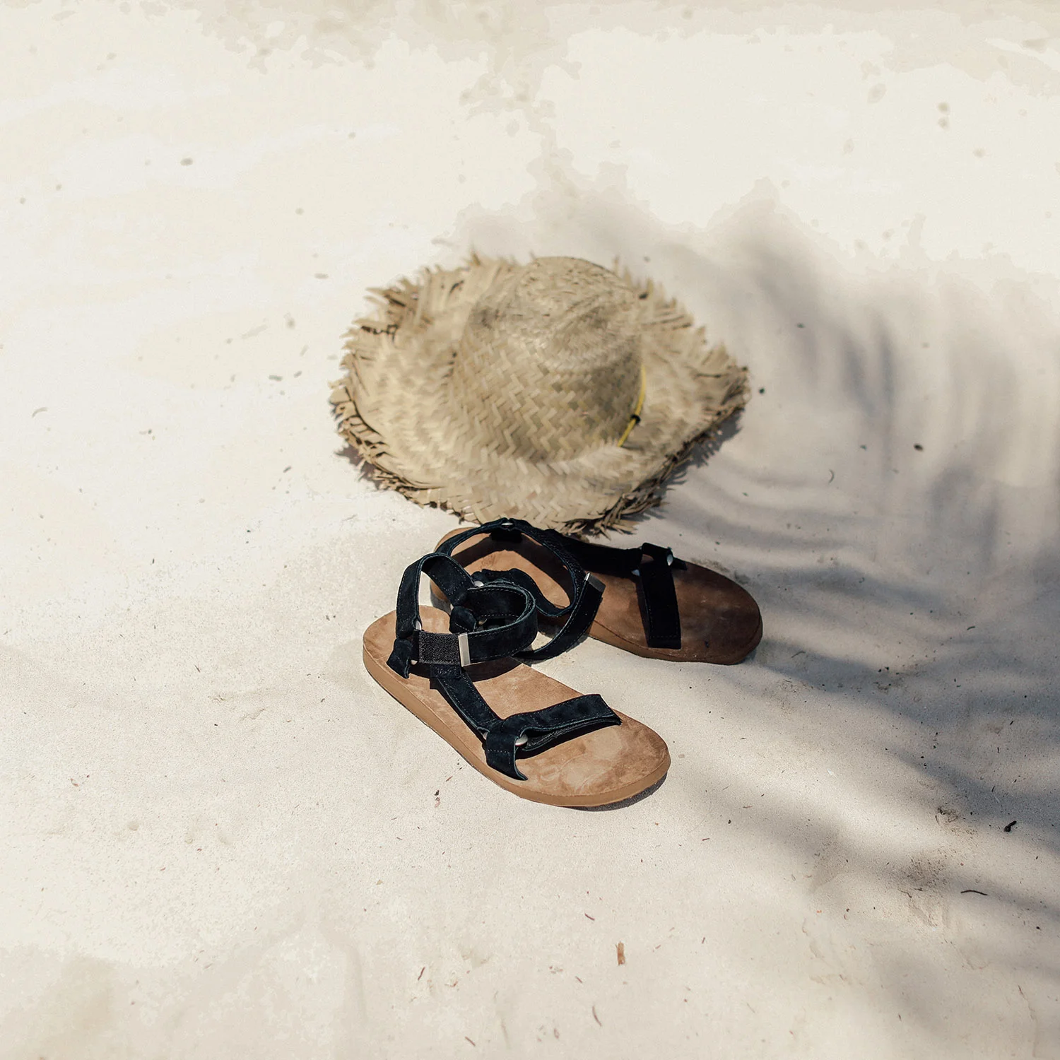Teva3.jpg