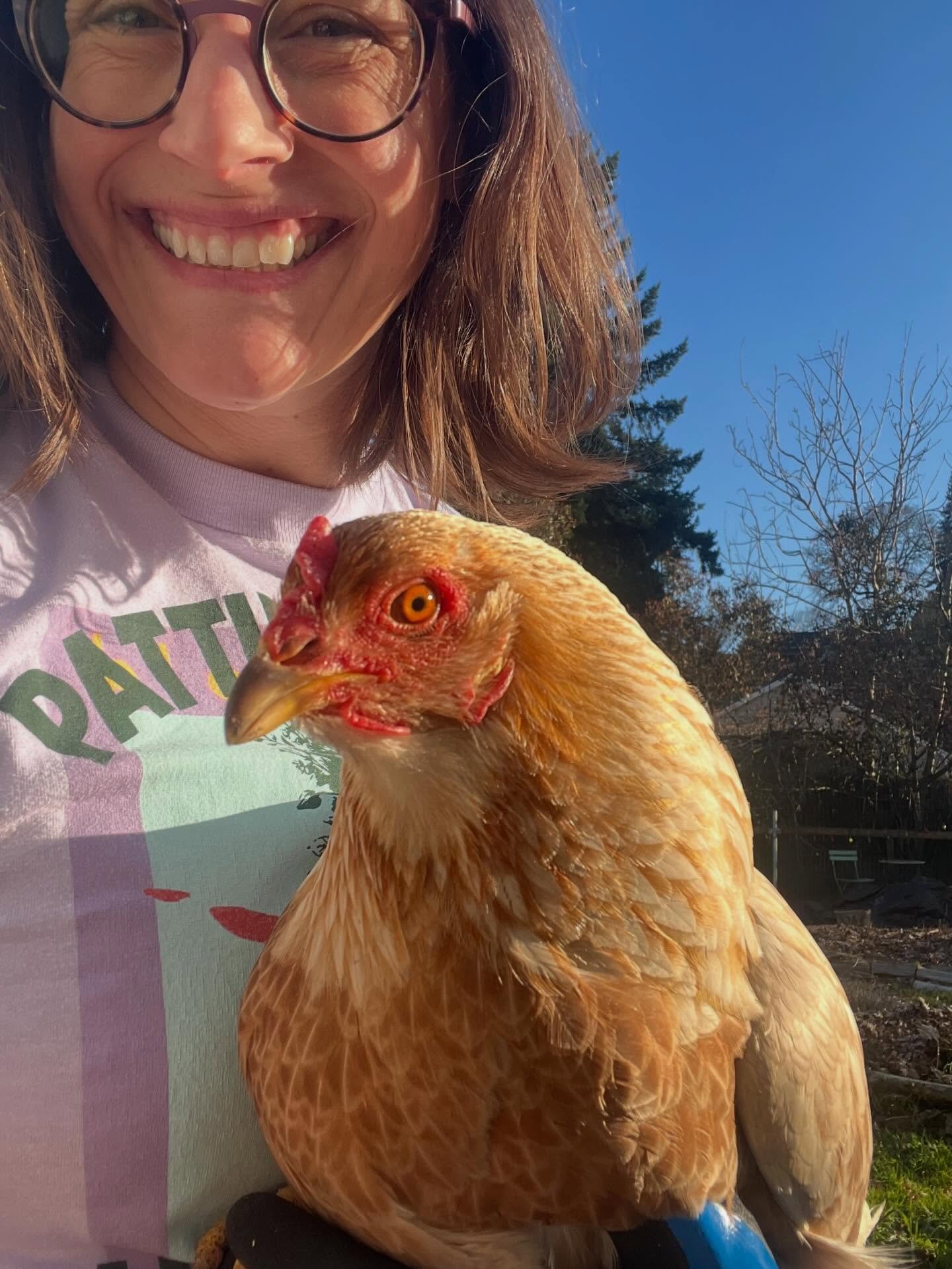Hanging with the chickens doing a little wing maintenance. This curious chicken is Marshmallow, my smartest chicken and a flier. In the video we are spending time with Beggar the Neigbor cat. #urbanfarmfun
