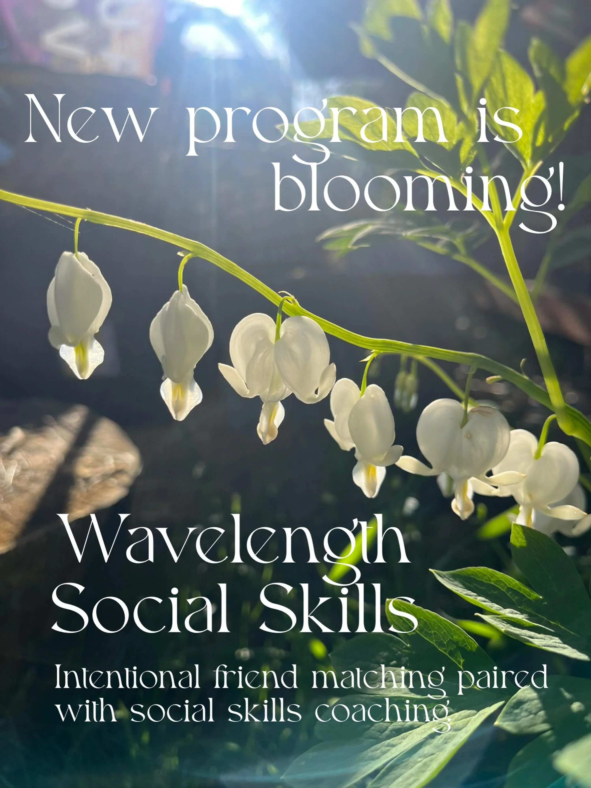 I&rsquo;m starting my new program for applicable social skill building for Autistic adults and young adults! First phase is getting on the list to join a database of potential friends. Once reaching a certain number, I will begin meeting with each in
