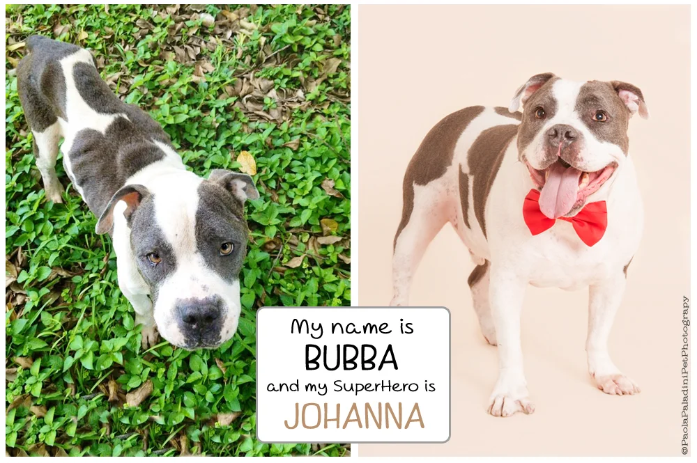 Bubba.jpg