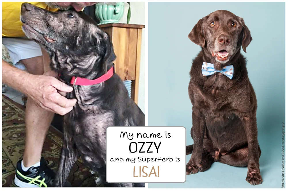 Ozzy.jpg