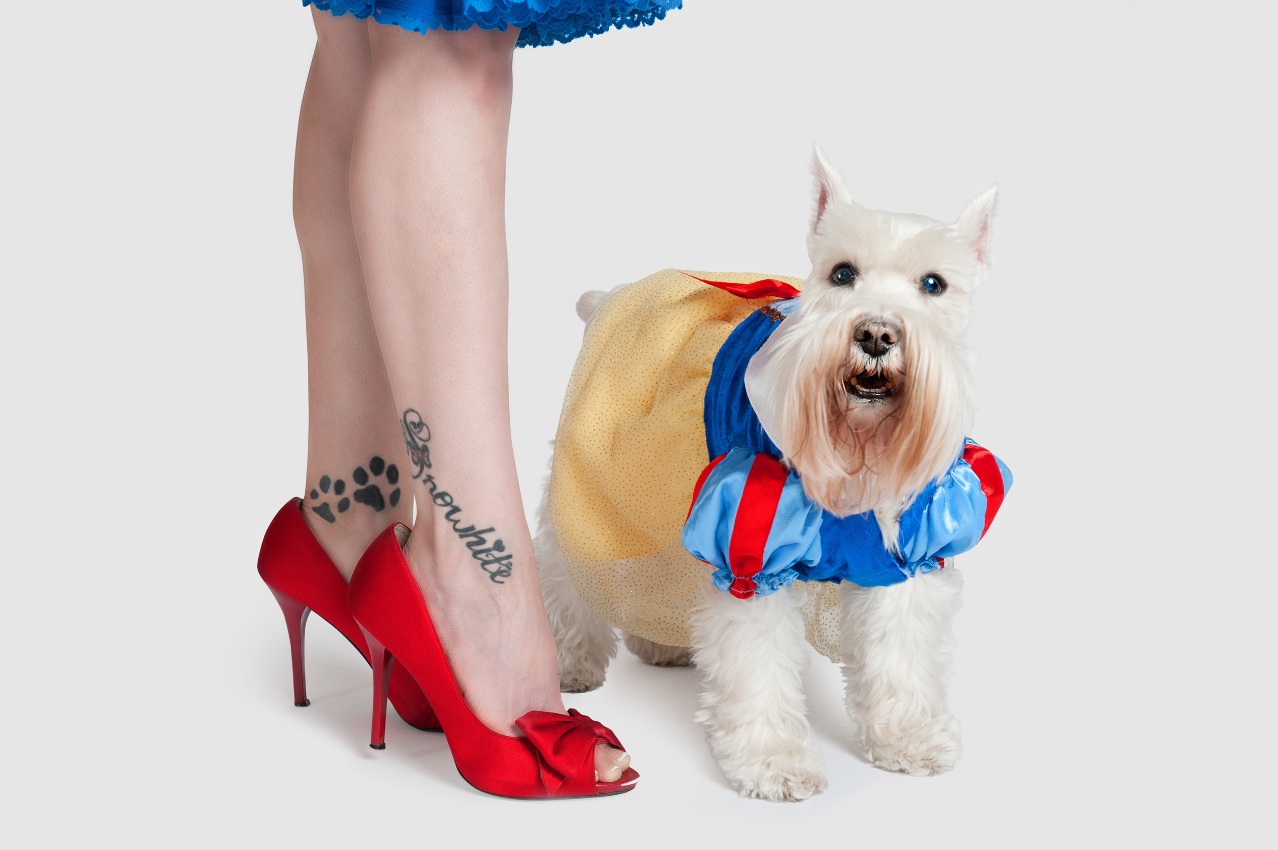 Paola-Paladini-Studio-Snow-white-woman-and-schnauzer-Shoes-and-Dogs