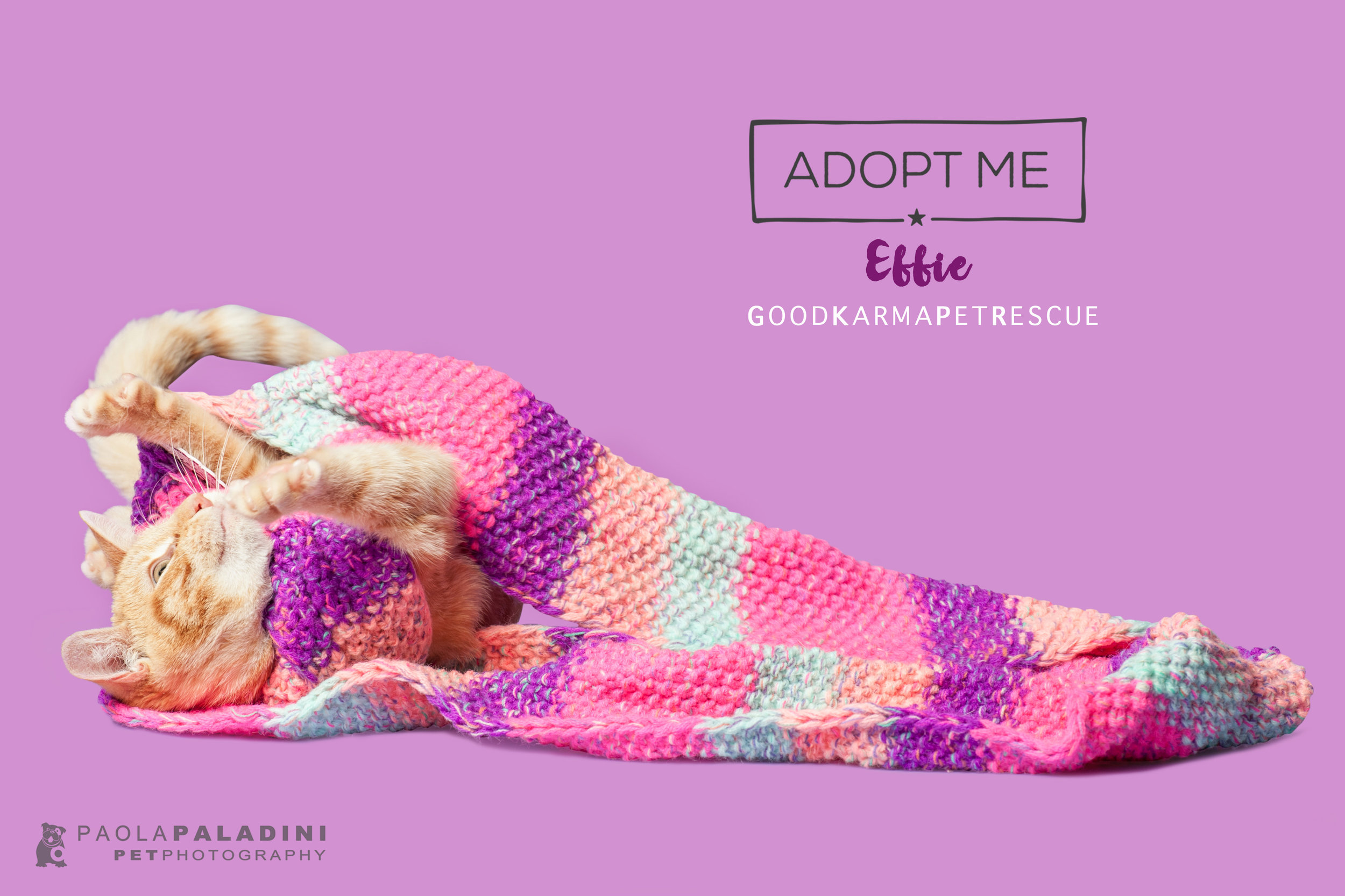 20171214-Exhibition2018-Effie.jpg