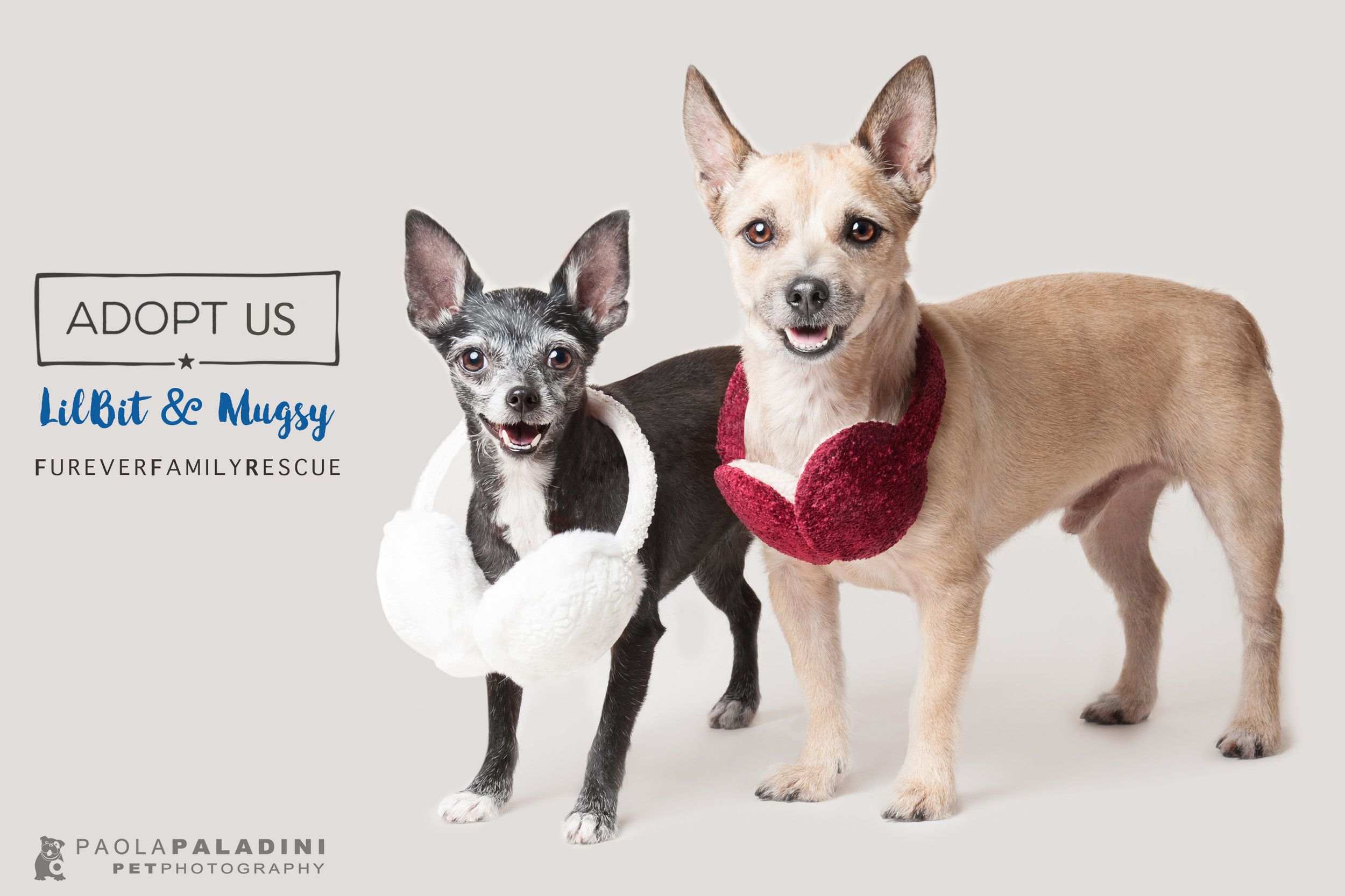 20171214-Exhibition2018-LilBit&Mugsy.jpg