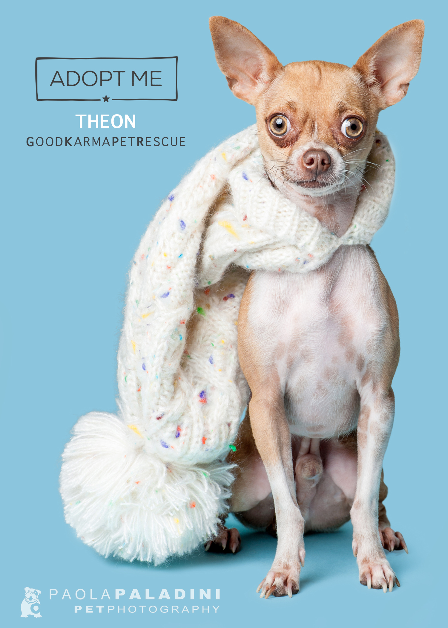 20180101-WinterExhibition-Theon.jpg
