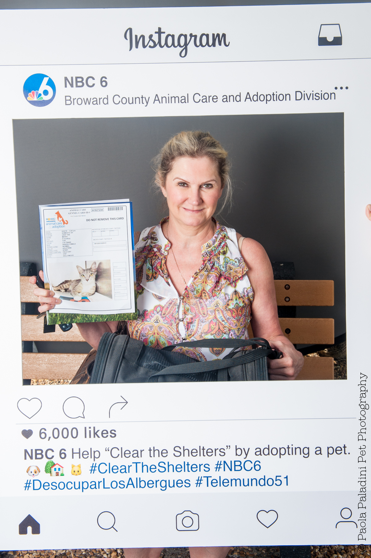 20160723-cleartheshelters-8.jpg