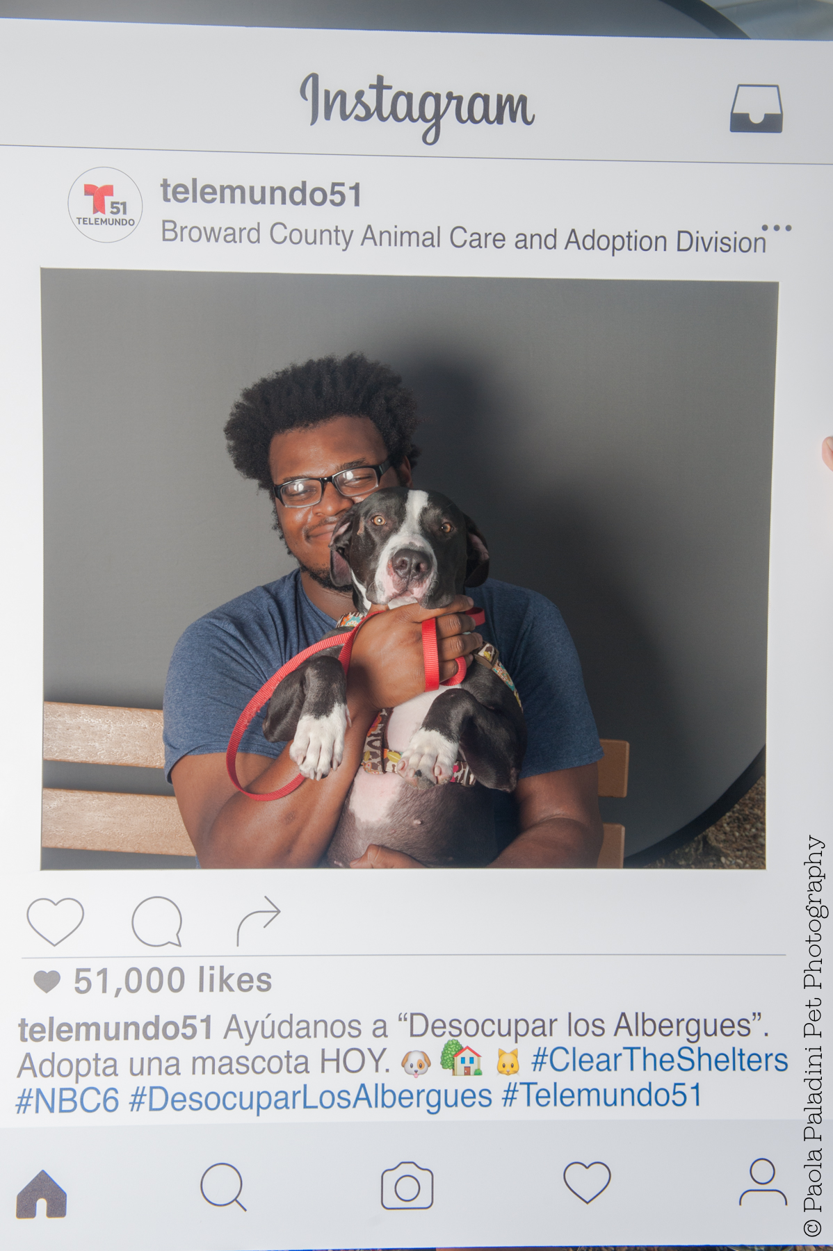 20160723-cleartheshelters-12.jpg