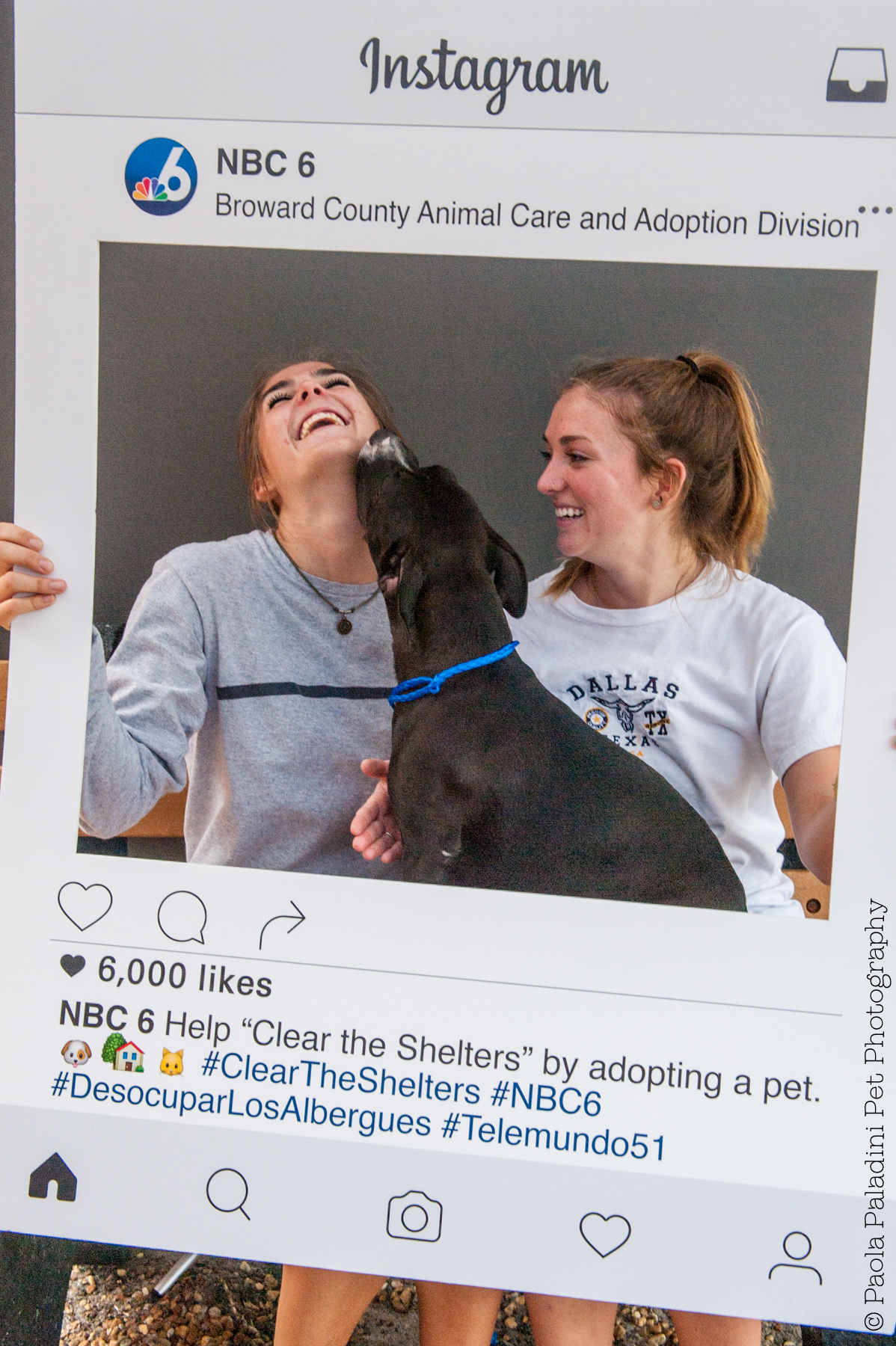 20160723-cleartheshelters-20.jpg