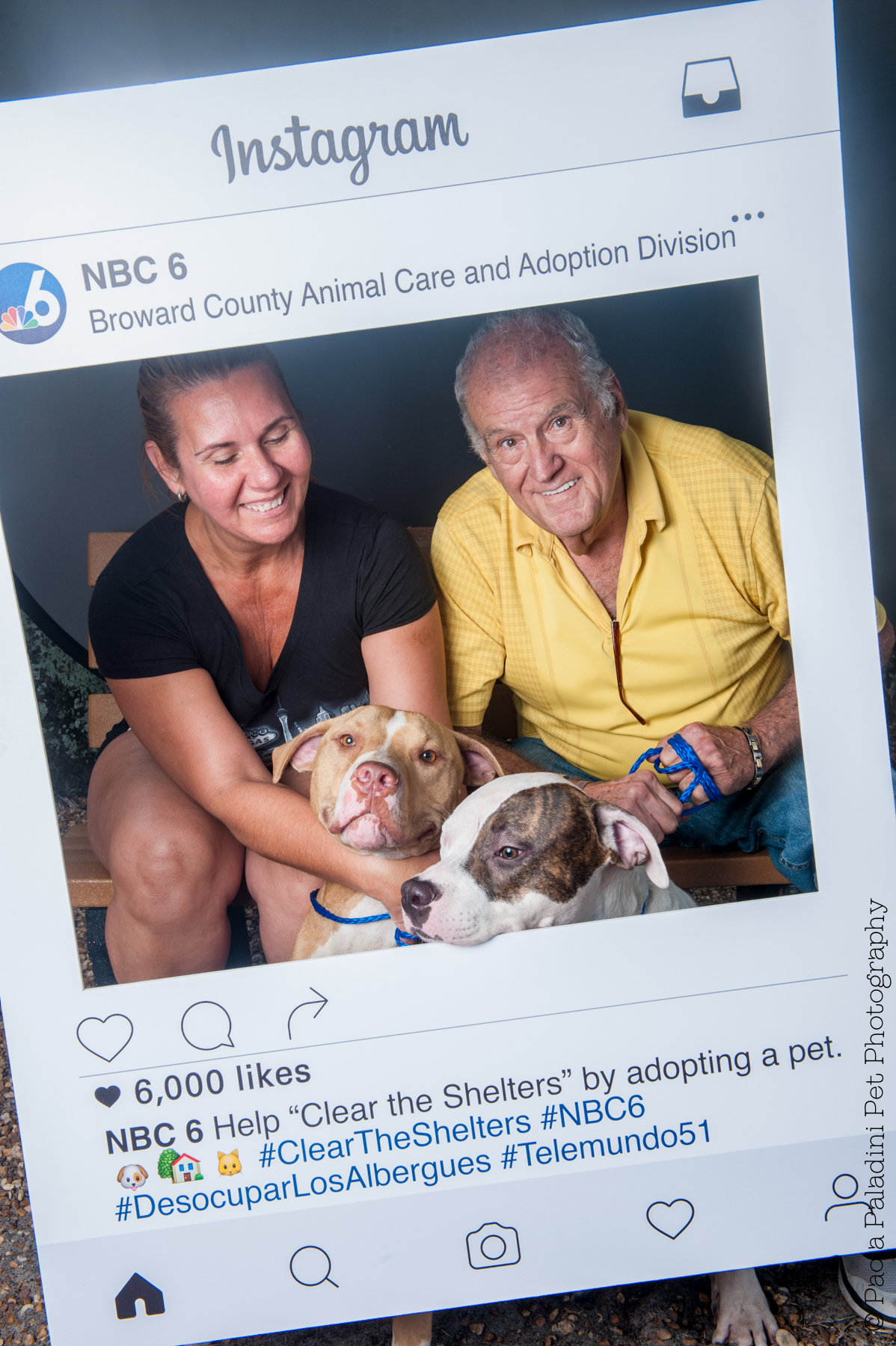 20160723-cleartheshelters-21.jpg