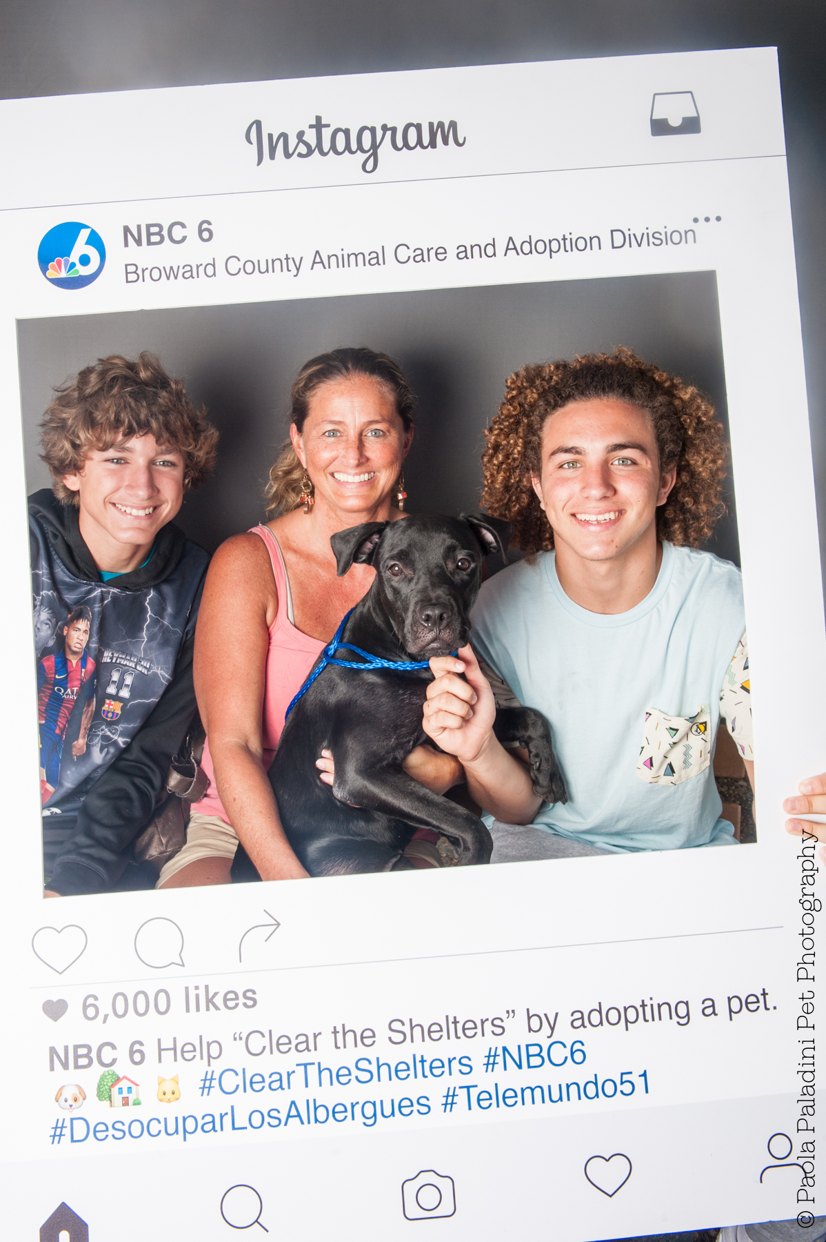 20160723-cleartheshelters-24.jpg