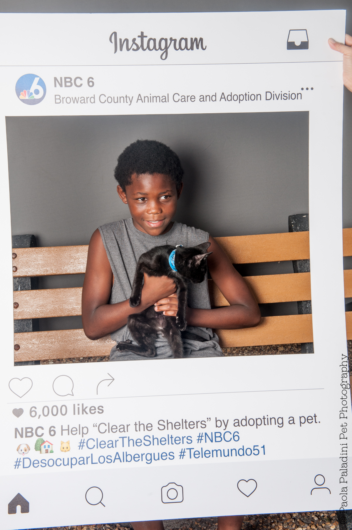 20160723-cleartheshelters-34.jpg