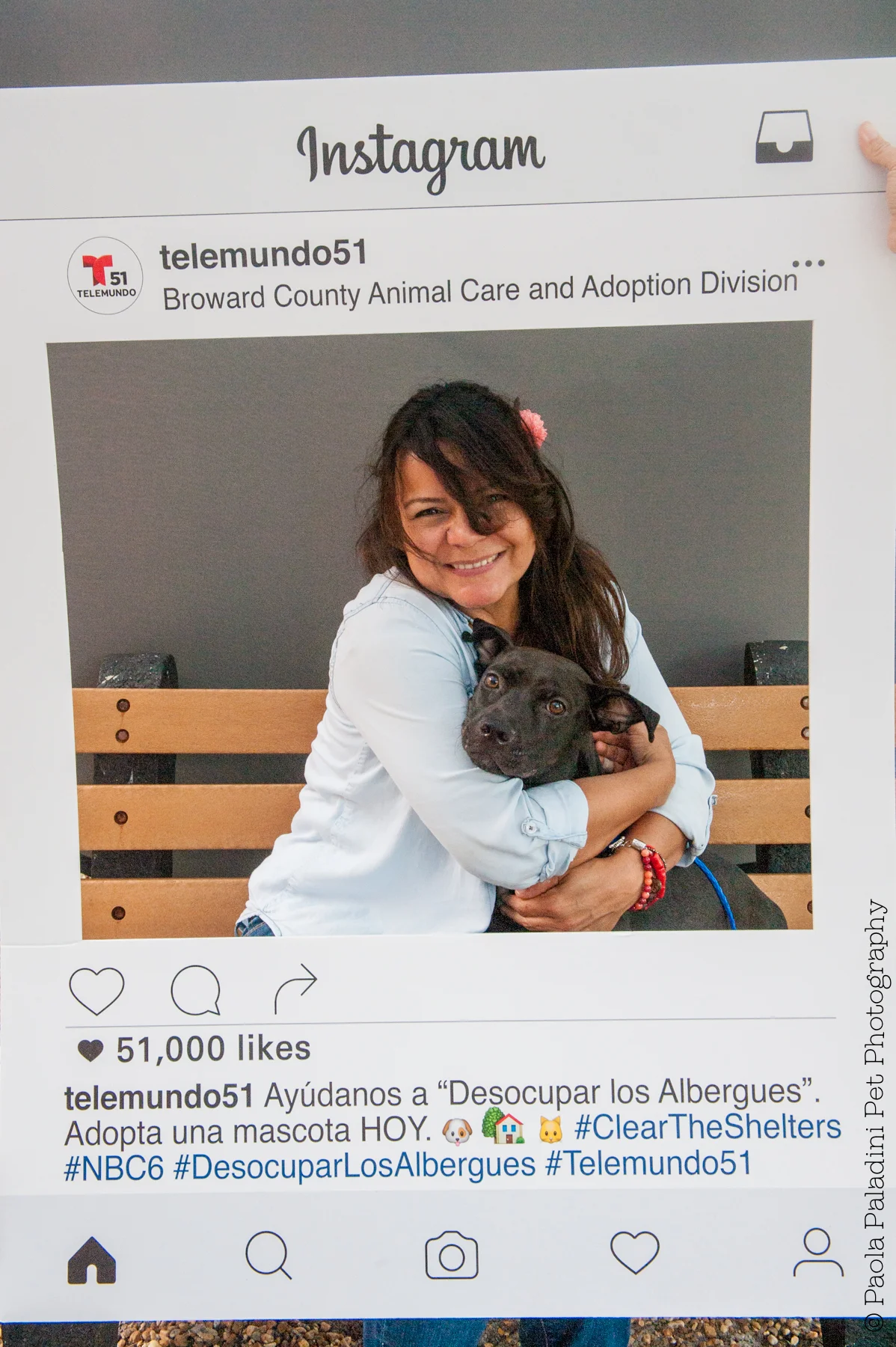 20160723-cleartheshelters-36.jpg