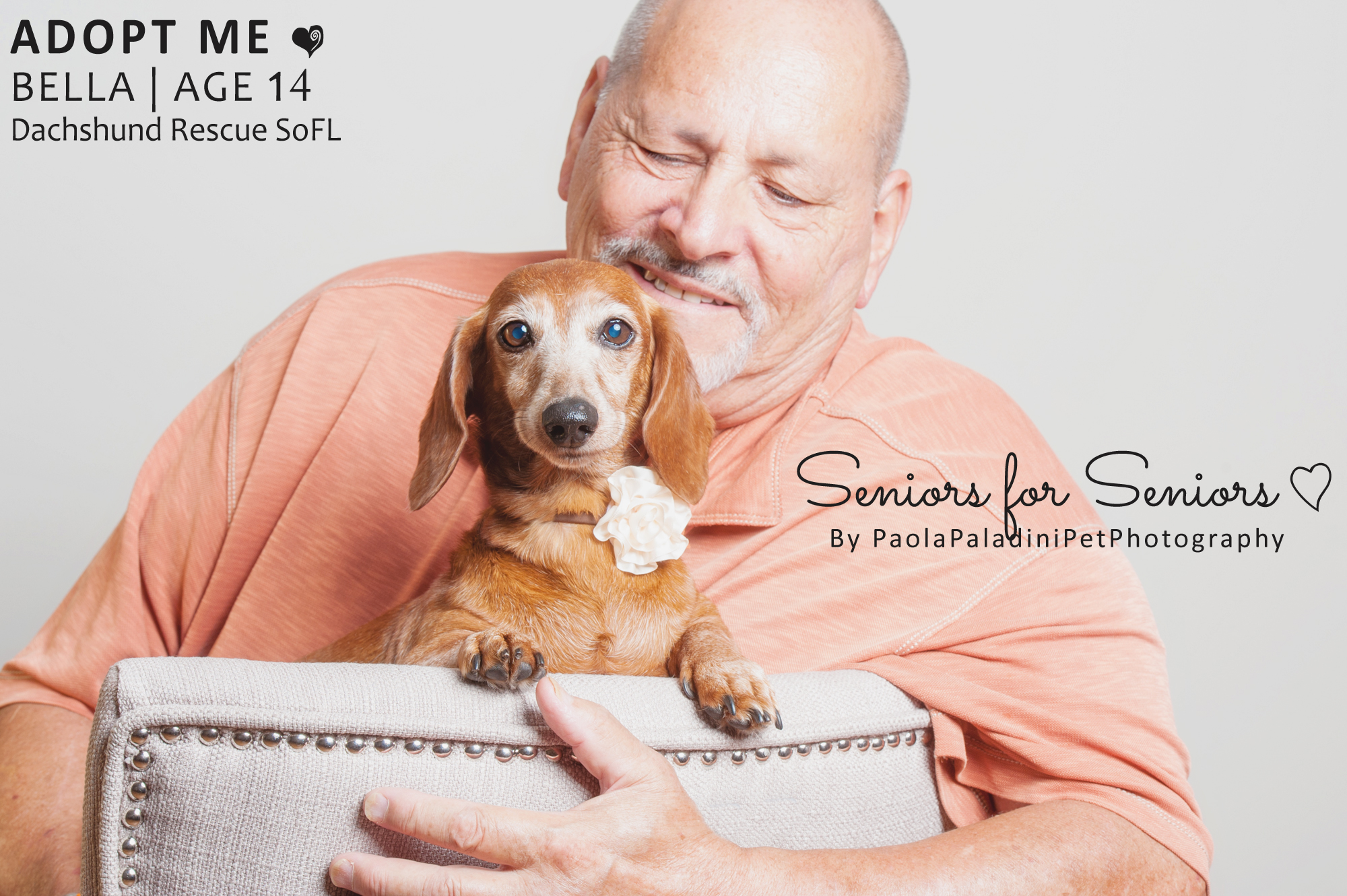 seniorsforseniors_bella3.jpg