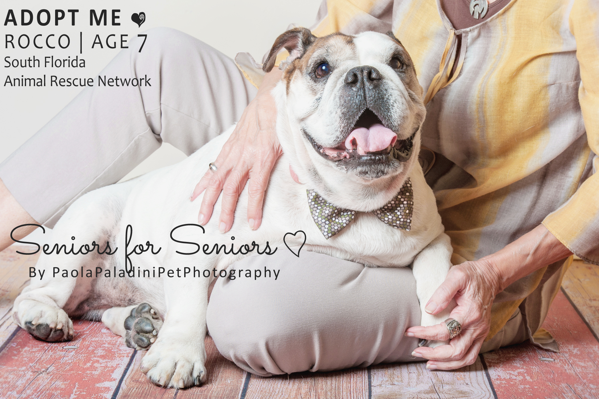 seniorsforseniors_rocco4.jpg