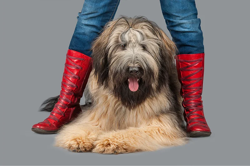 Paola-Paladini-Hounds-and-Heels-red-boots.jpg