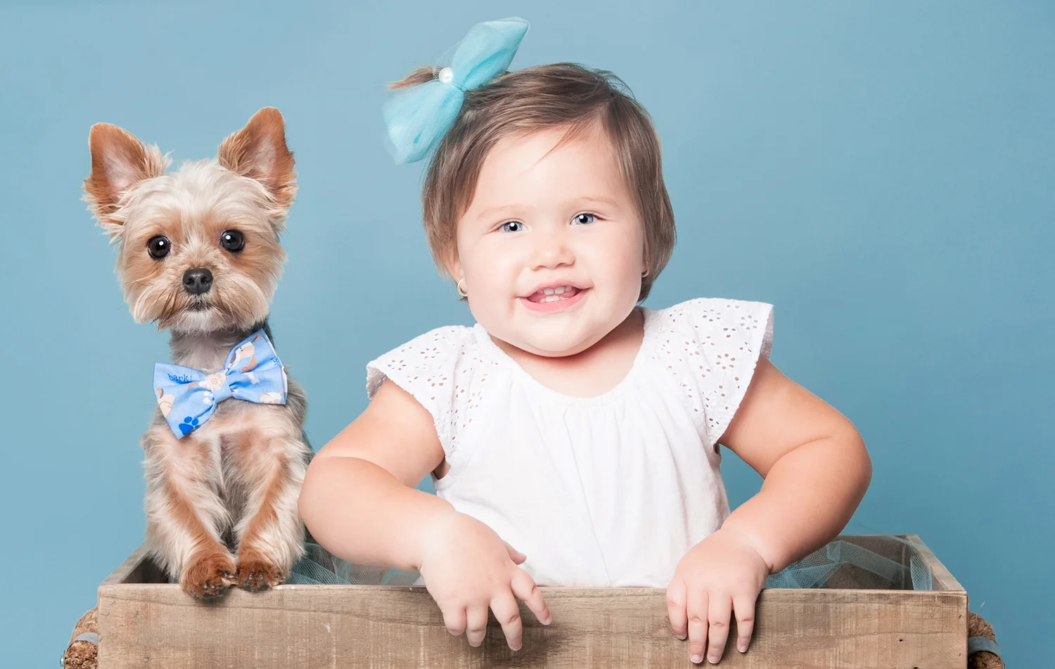 STUDIO SESSIONS On-location, natural light pet photography session Up to 2 pets from the same family Up to 2 hours of shooting time Brisbane location Monday to Friday Choose from 40+ presented images to create your product order Personal Viewing & Ordering Session at my Auchenflower consult room I offer a fully customised experience where you end up with the perfect combination of prints and products to suit your unique situation. For this reason, your session fee does not include any printed products or digital images – your product order is placed after you’ve viewed the final images presented at your viewing session. To assist in budgeting for your experience, credit card payments and interest-free payment plans are available on product orders. Add-ons: Extra pets $100 each. Gold Coast / Sunshine Coast travel add $50. Saturday session surcharge $50. Have any questions? Check out the FAQ and find out more about How It Works .