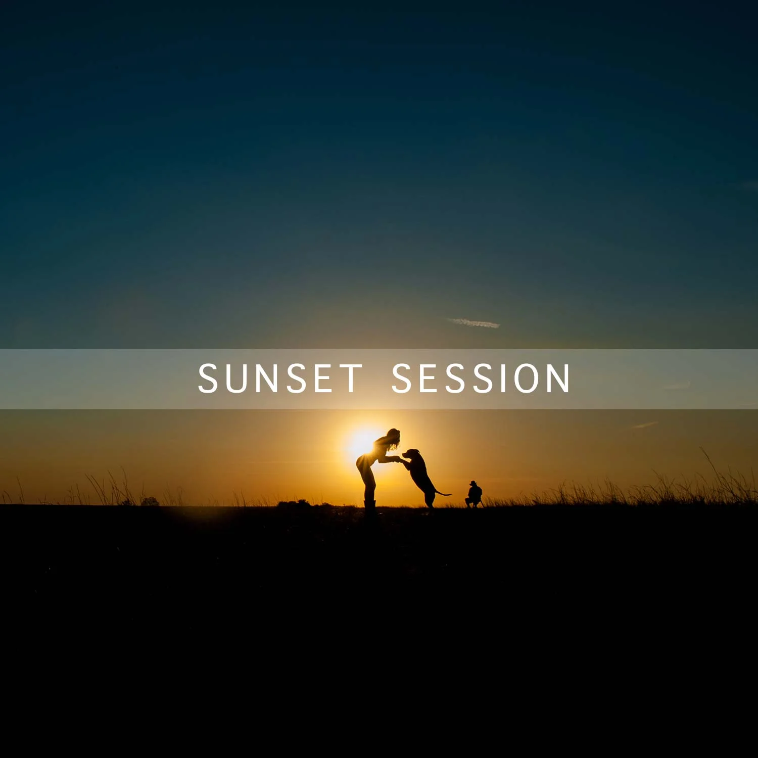 SUNSET-WEB-SHOP.jpg
