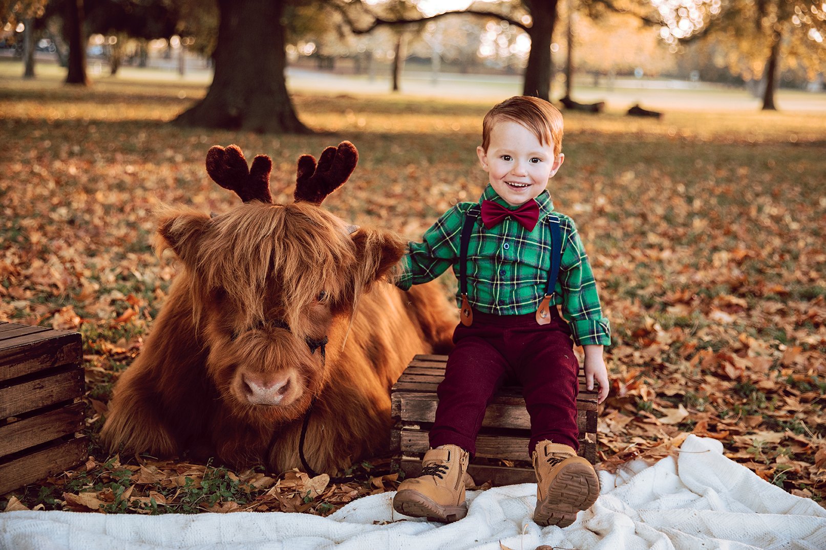 Texan Holiday Magic with Christmas Cowboy Mini Photo Shoots!
