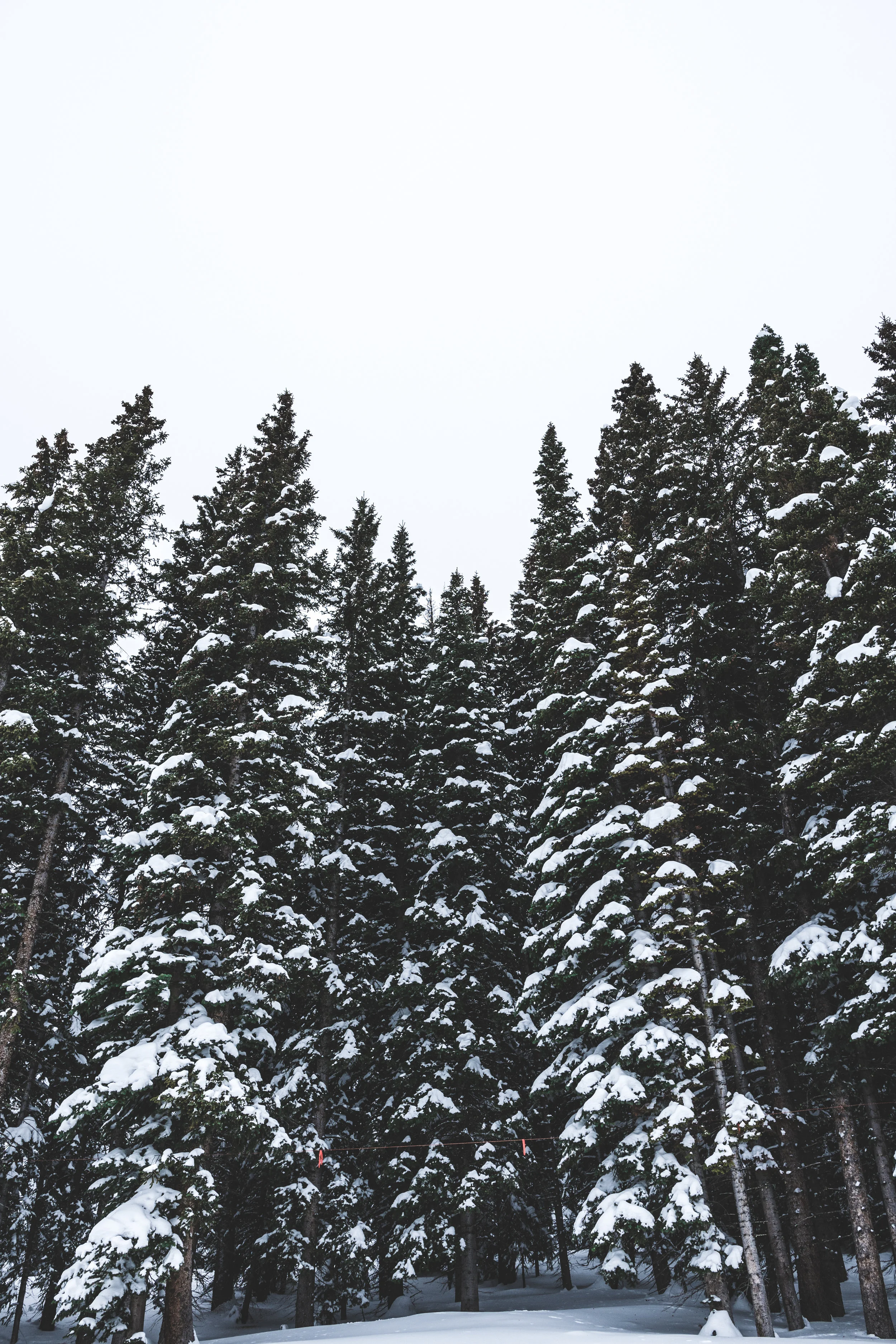 DSC_1701.JPG