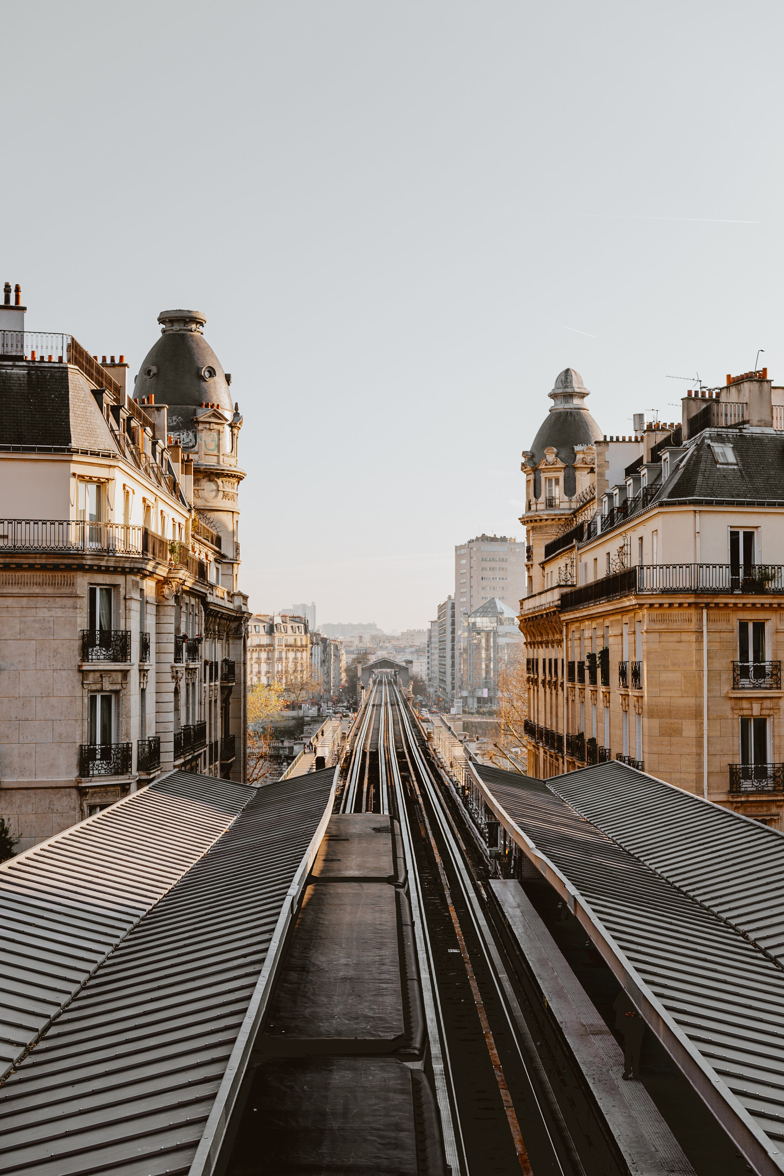 NSF_3471.JPG