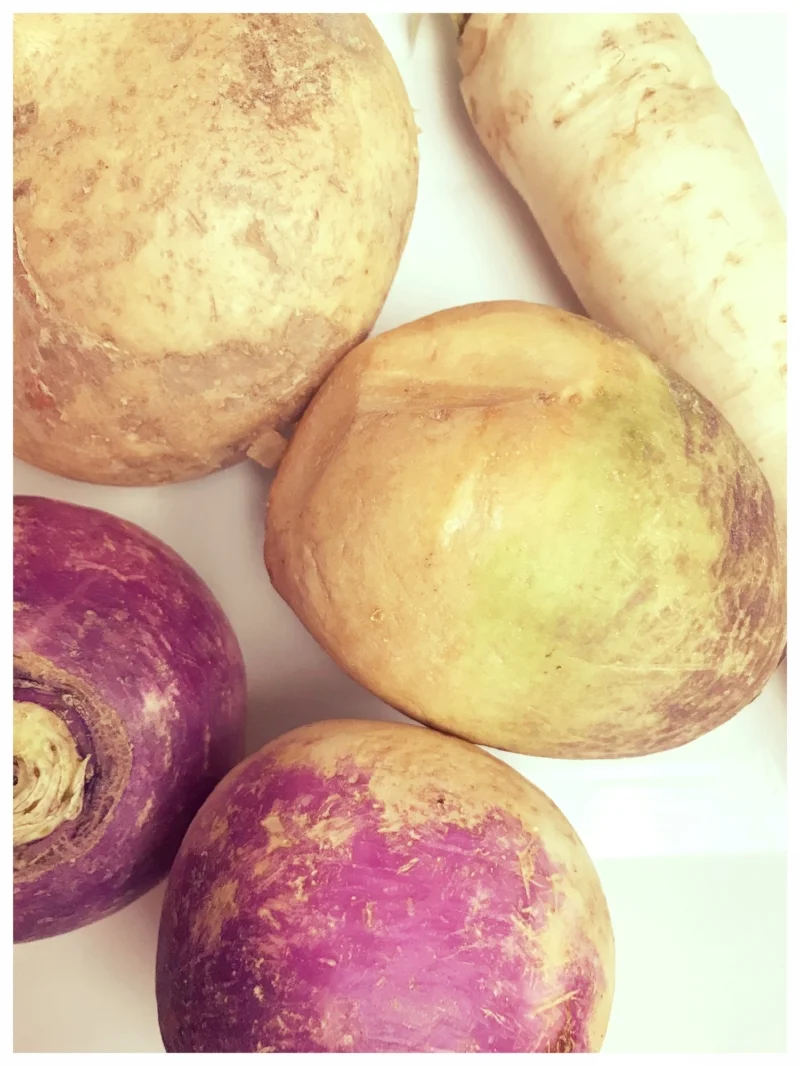 Daikon, Rutabaga, Turnip & Jicama