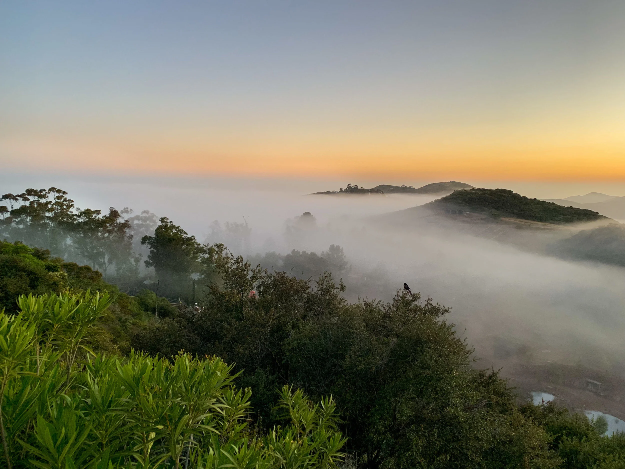 Xanabu_Landscapes-5.jpg