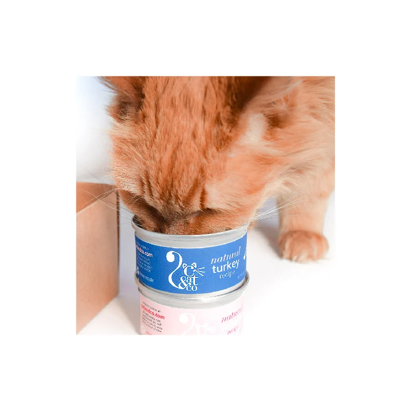 web_cover_cat.jpg
