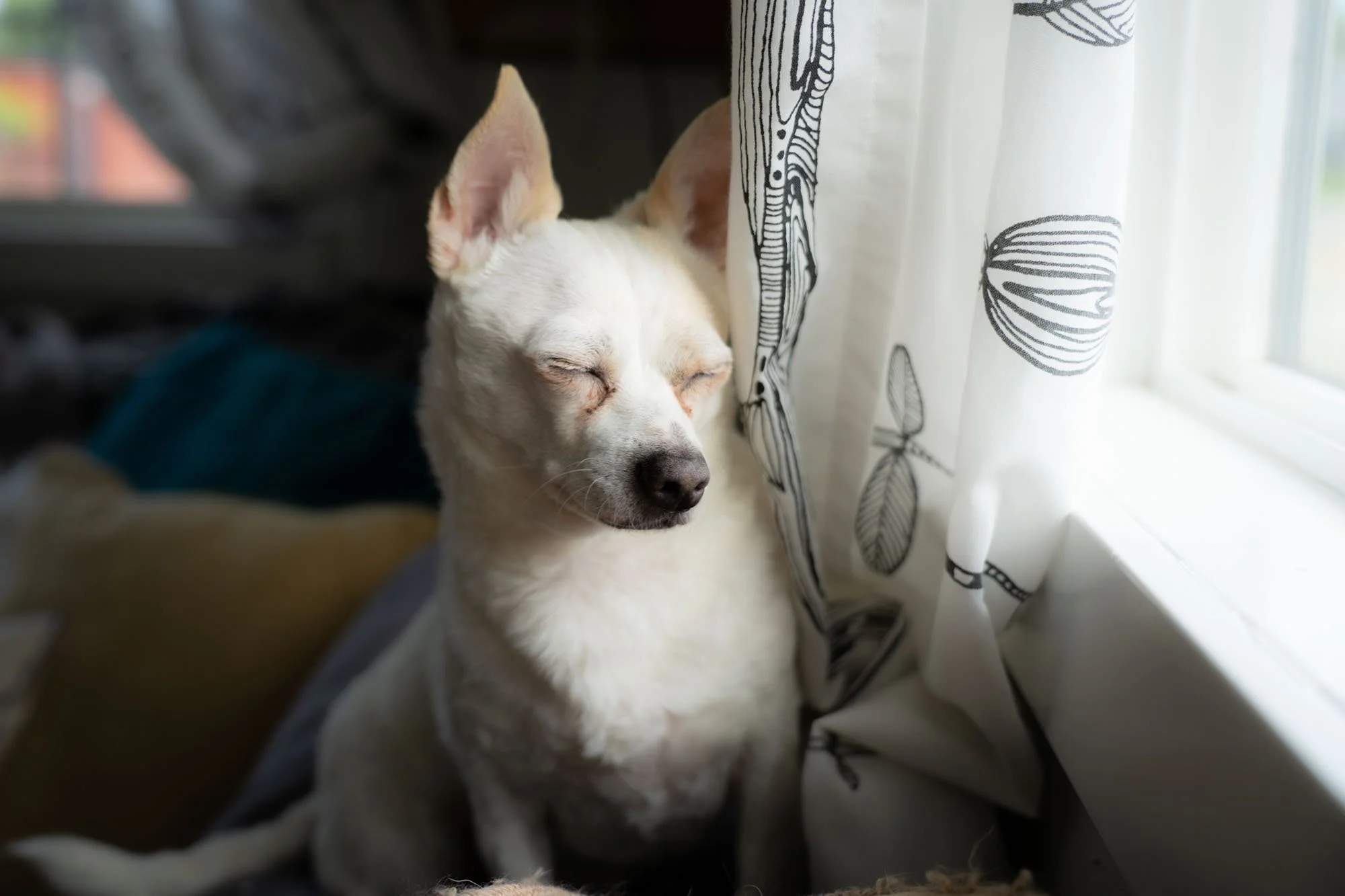 FreyaTheoHouseDay1 (5).jpg