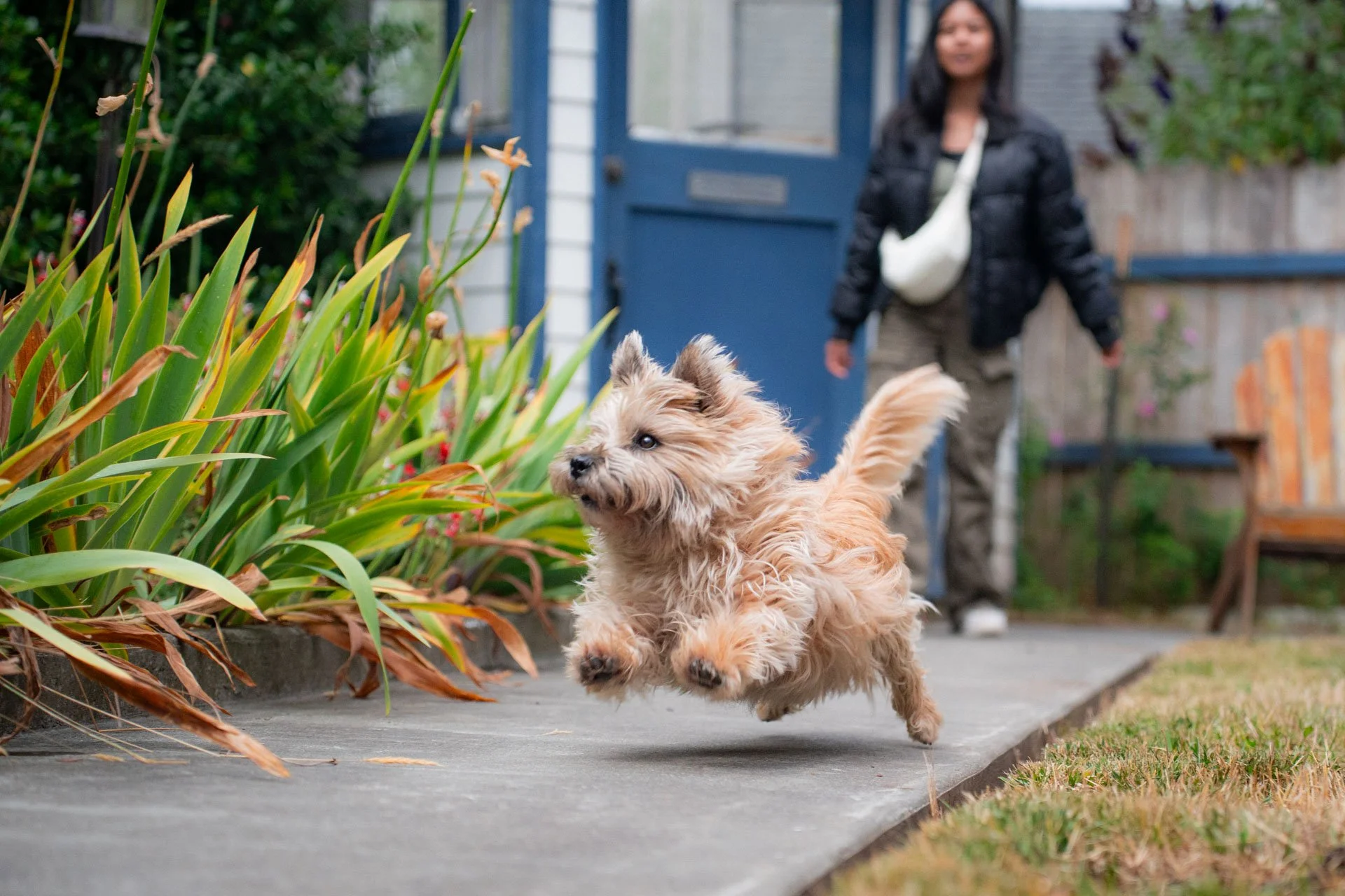 Ghibli & Thor Drop (6).jpg