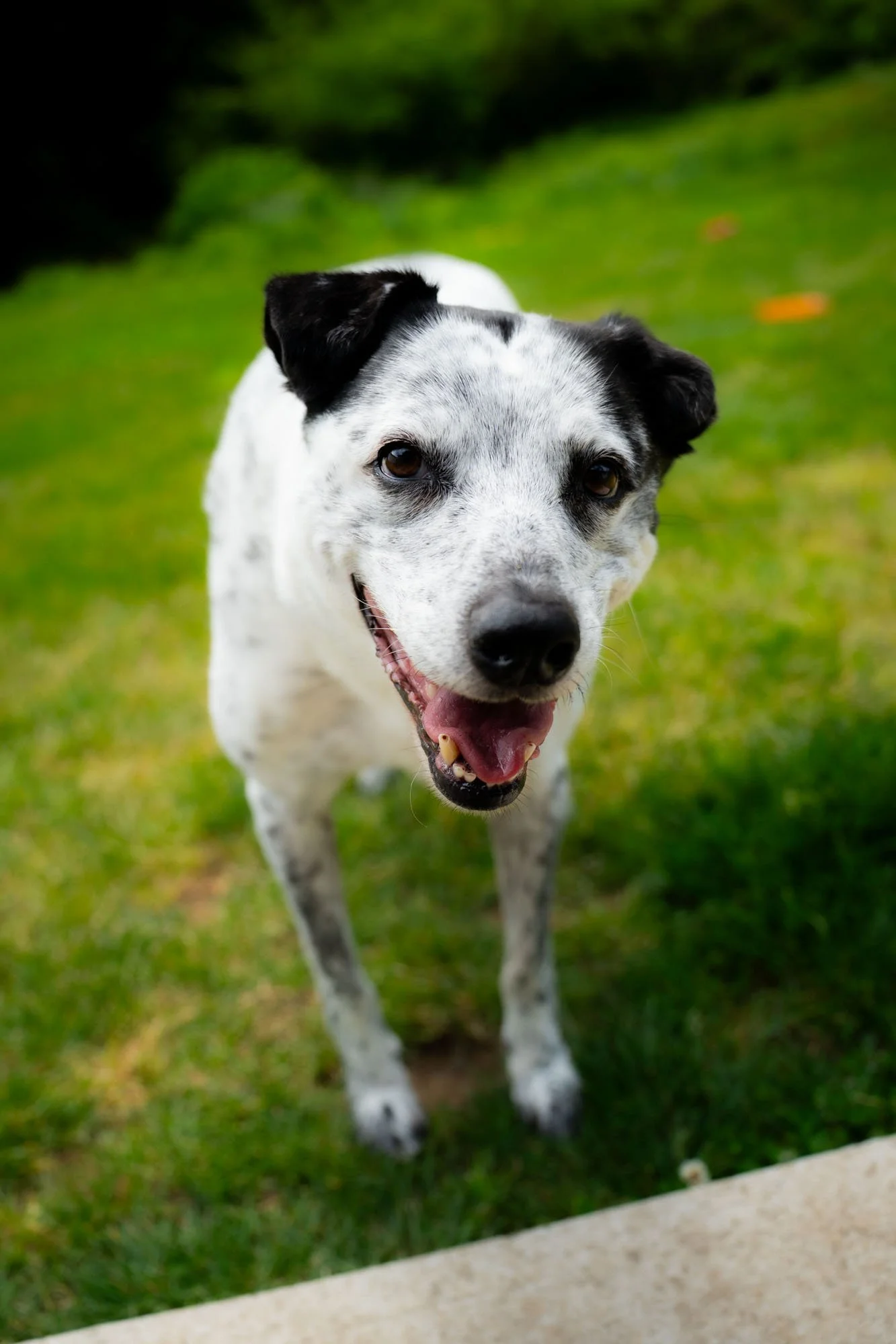 FreyaTheoHouseDay1 (7).jpg