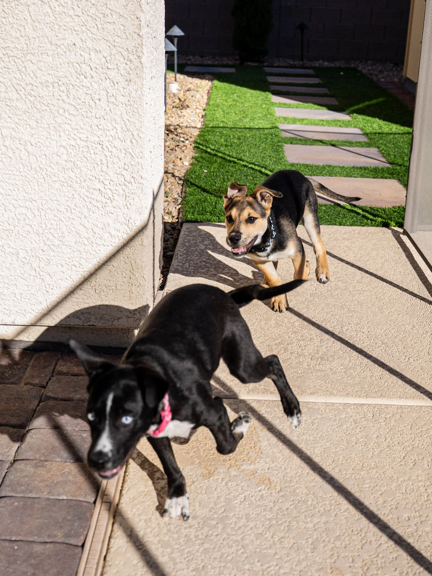 RiverRidgeSit (11).jpg