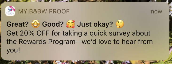 iOS_survey_push.png