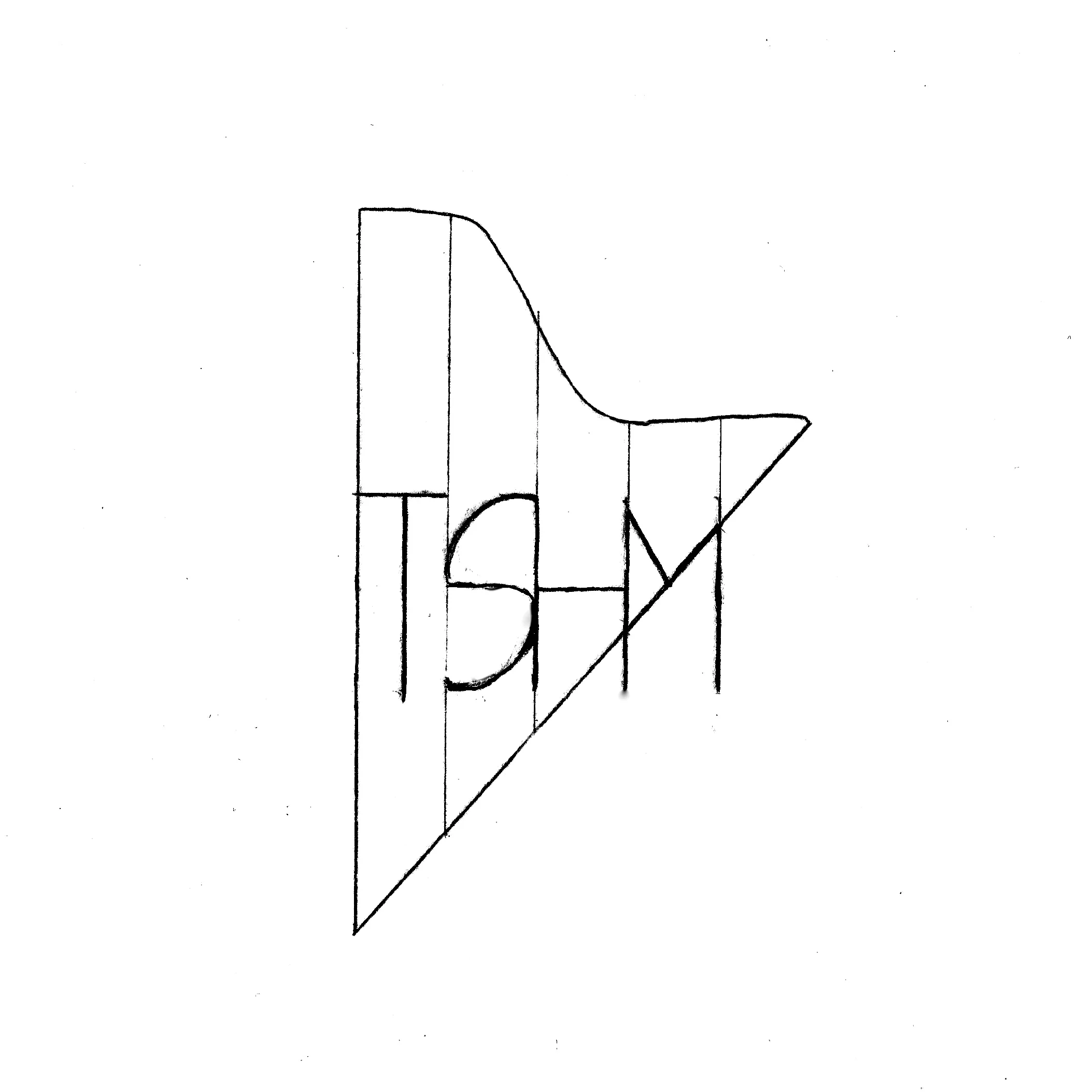 tshm logo.jpg
