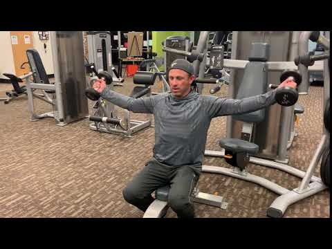 460. Seated DB Lateral shoulder raises