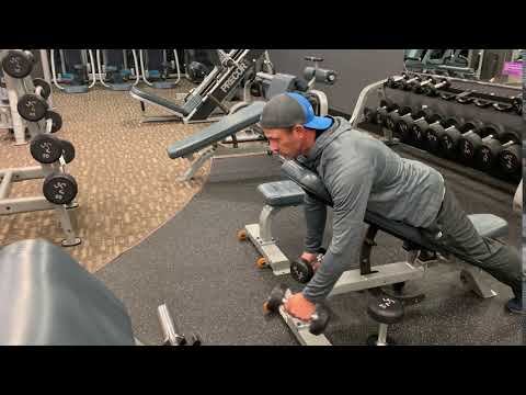 463. Reverse Grip Incline Shoulder Raises