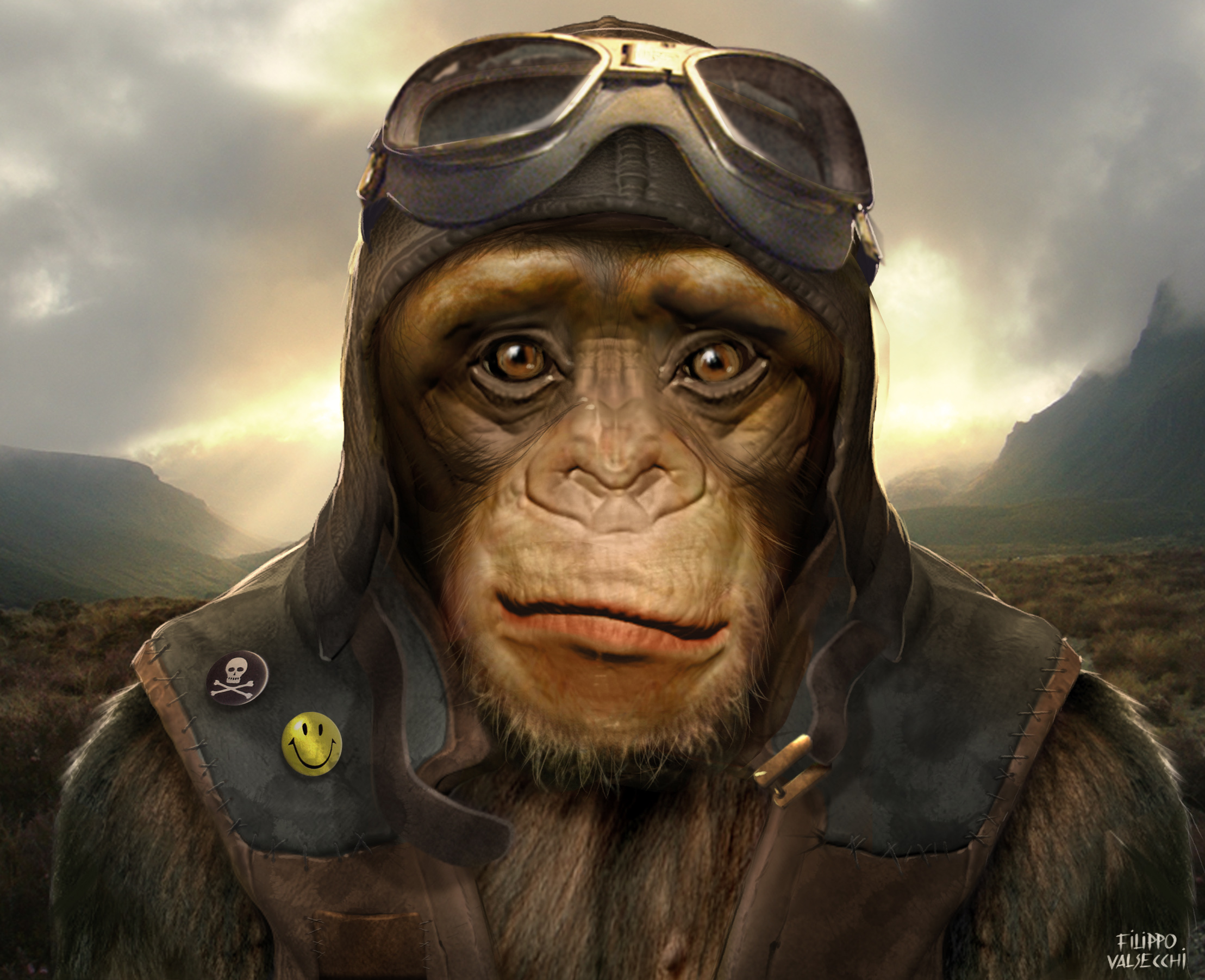 chimp04.jpg