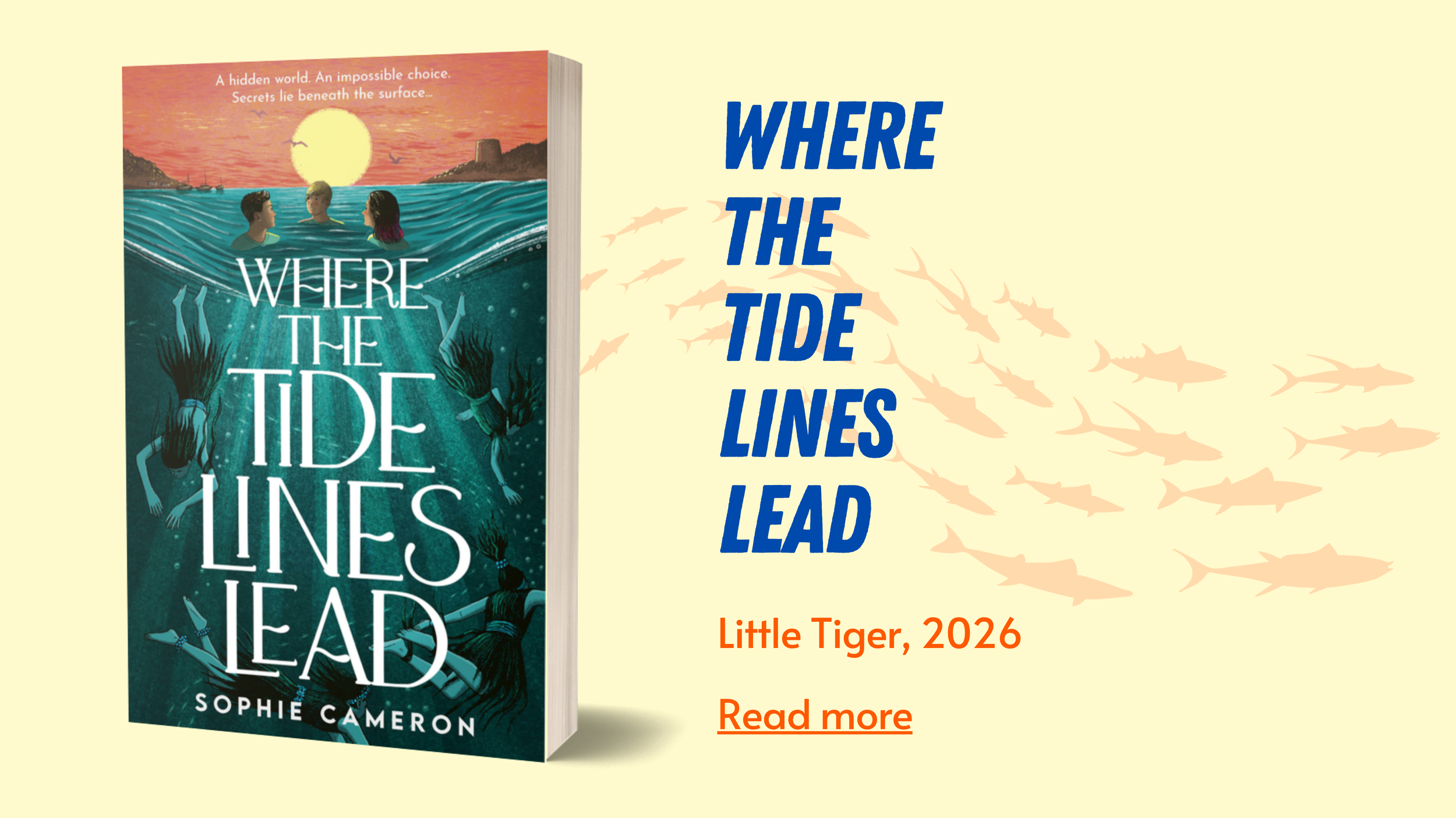 Cover for Where the Tide Lines Lead, published by Little Tiger, 2026.