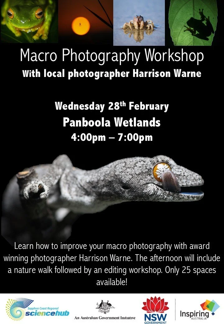 Harrison Warne's photography workshop
