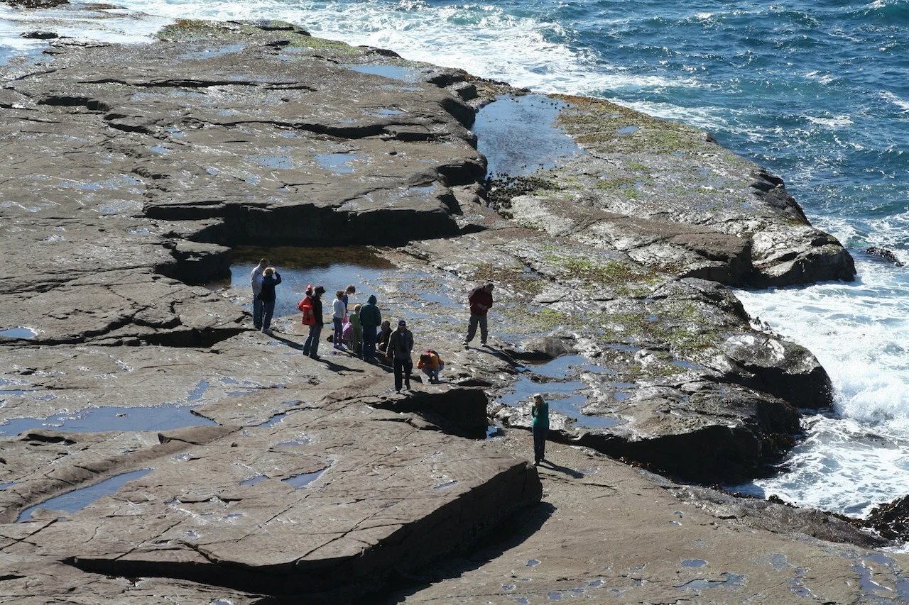 Australian First for SC Marine Society