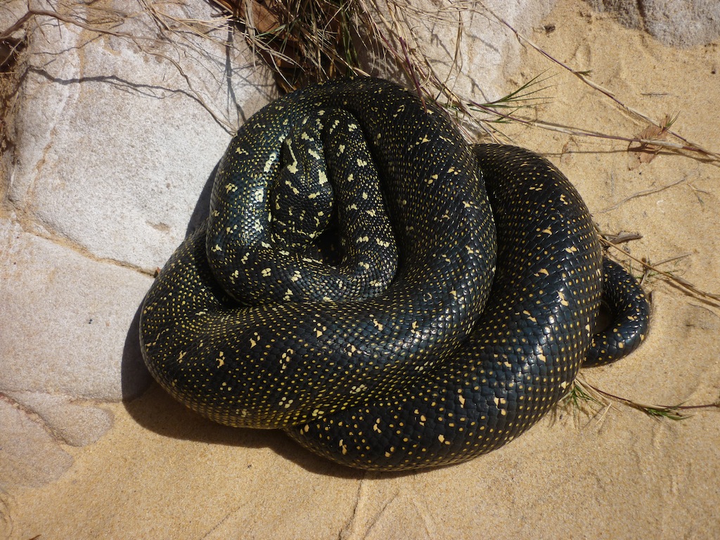 First Day of Spring?