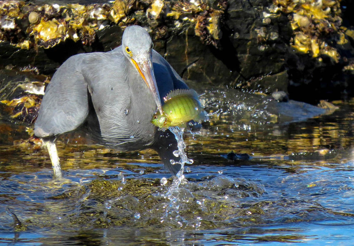 2013 photocomp winners announced