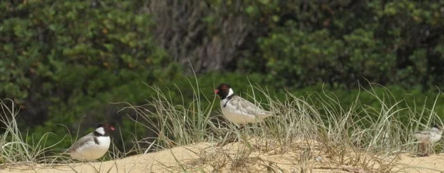 Where do all our Hoodies go ?