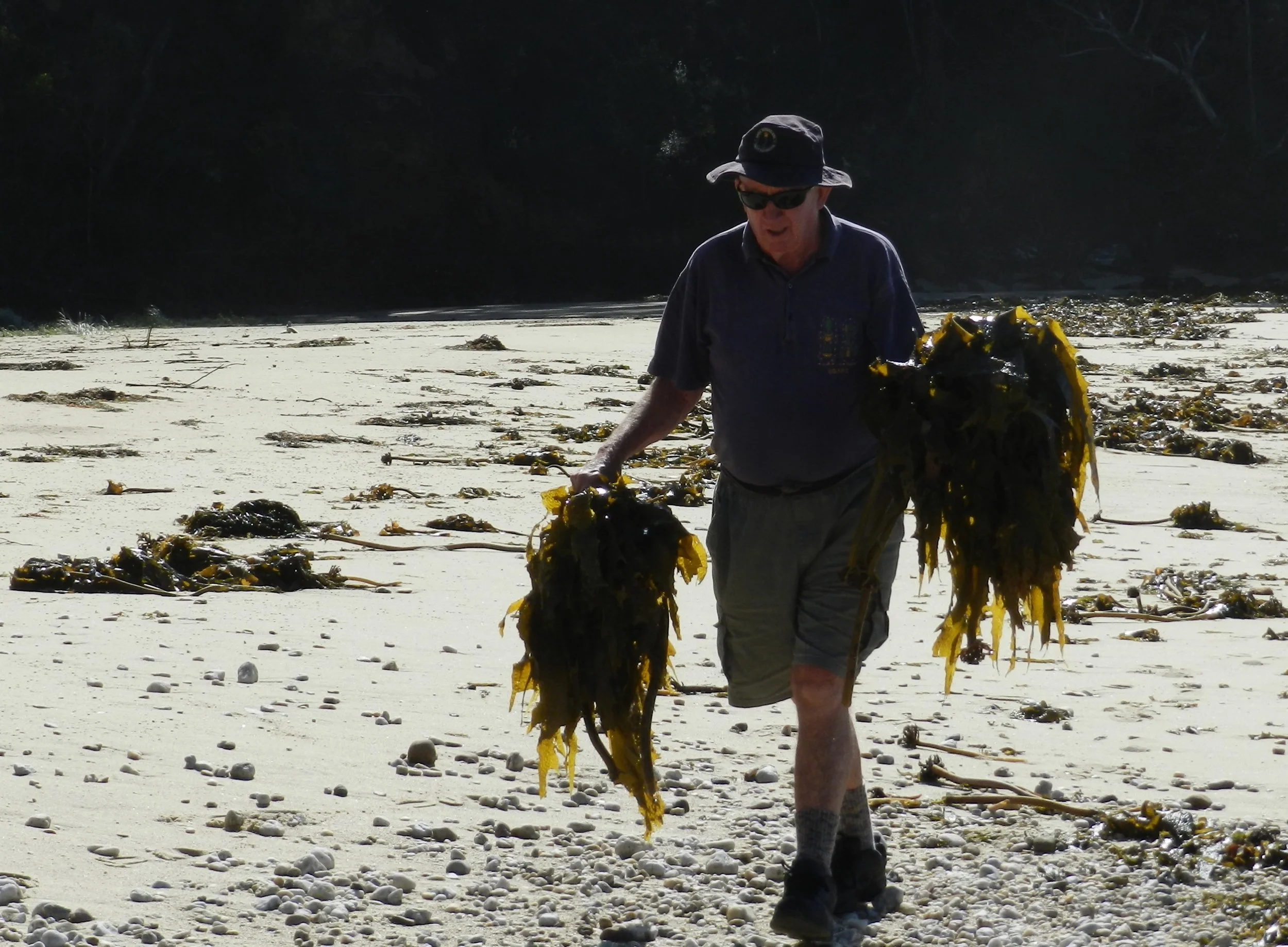 Seaweed celebration evening Saturday May 24th