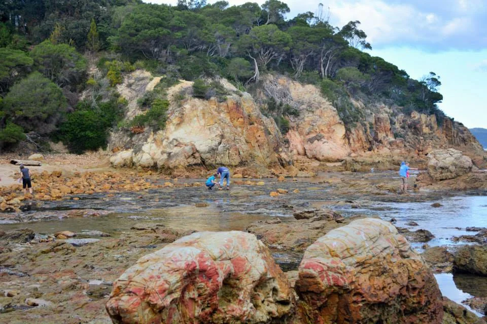 Join the Oceans Connected Marine Survey